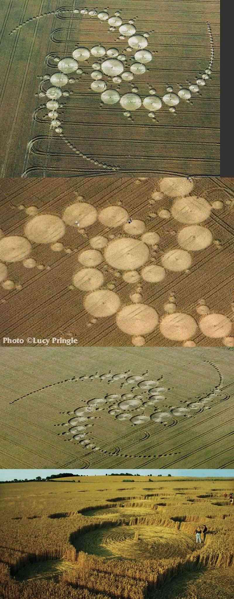 crop circles 1996 29-win10