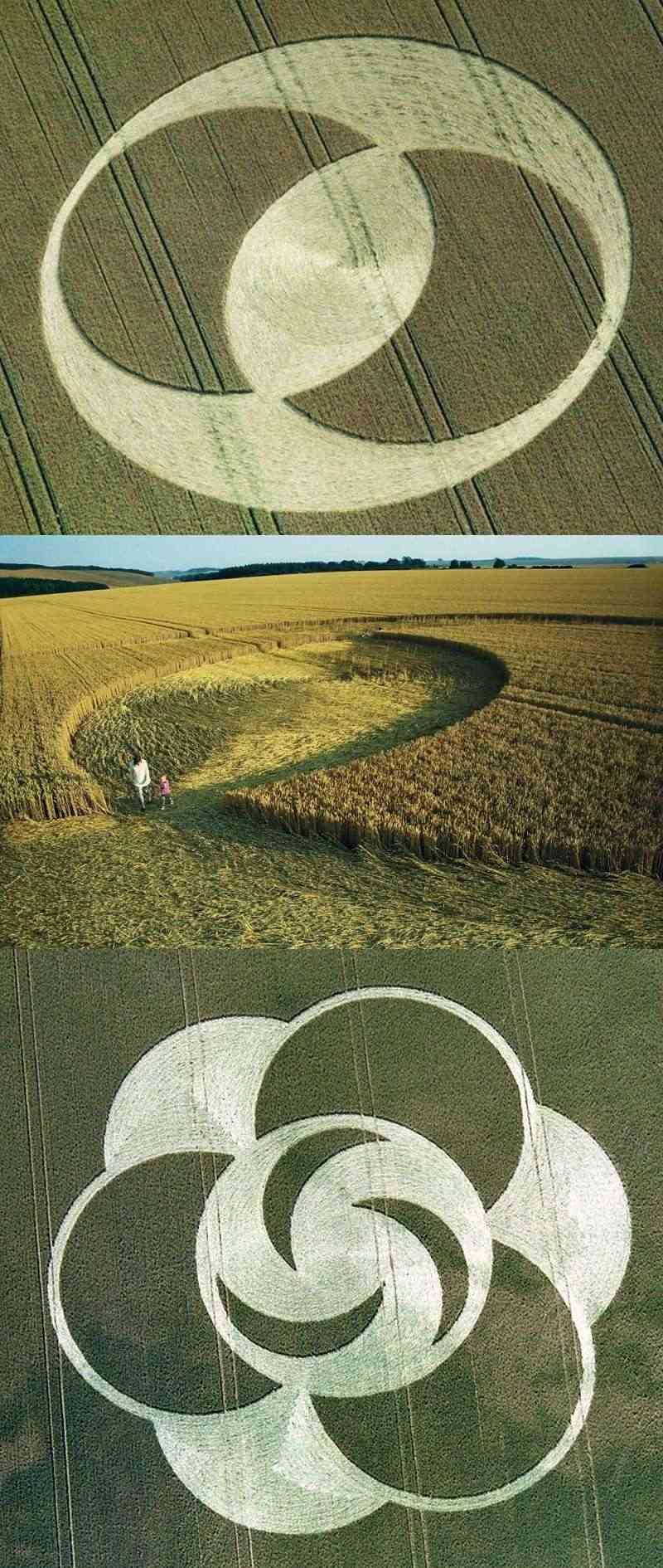 crop circles 1996 37-ash10