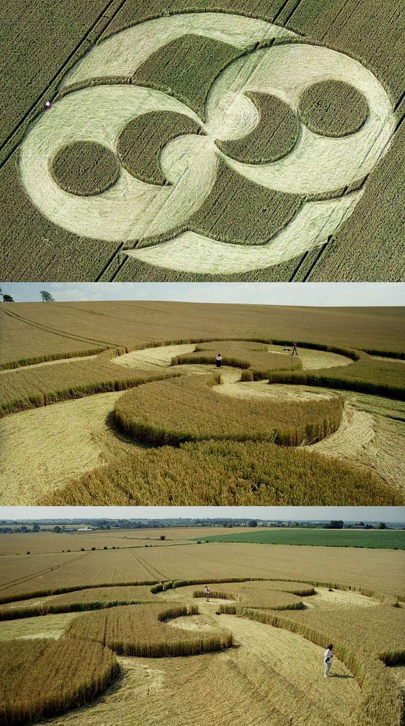 crop circles 1996 41-lid10