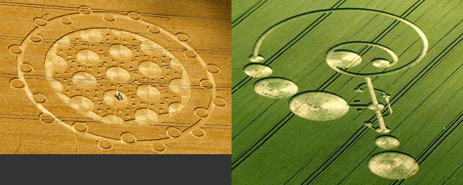 crop circle et 3eme oeil... Gkj11