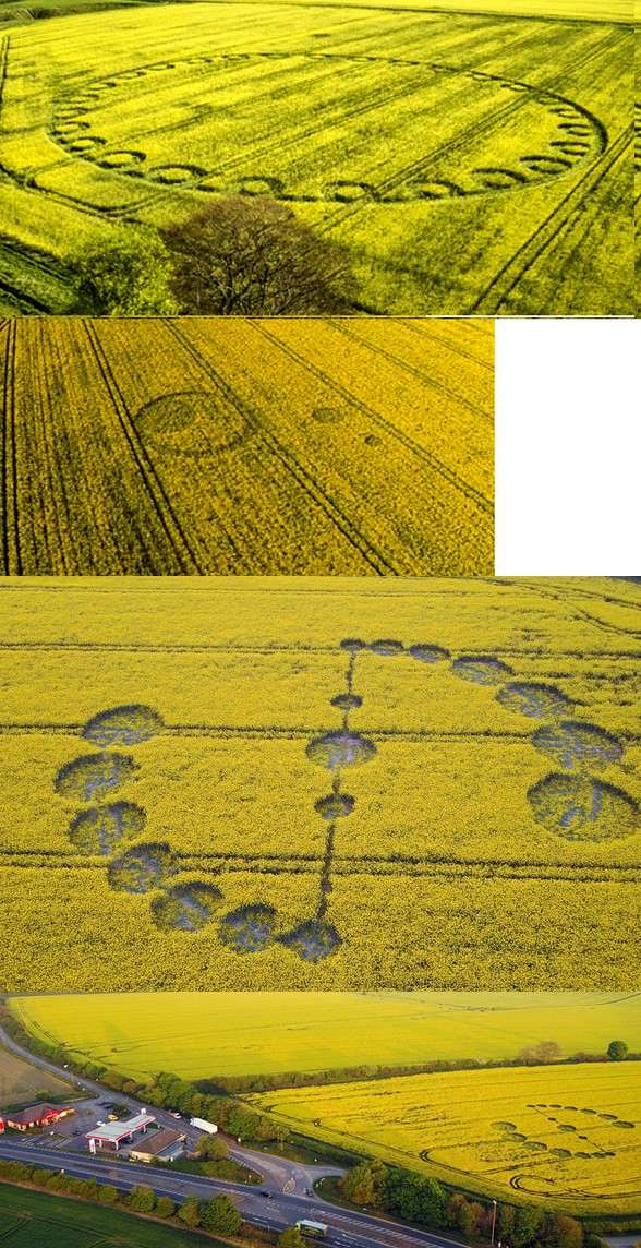 images originales : les crop circles de 2017 Hov1010