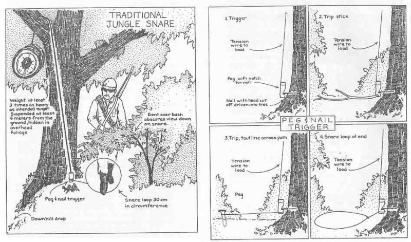 Les pièges en bambou Vietcong (Booby traps) partie 1 13447313