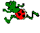 Lagrasse  Frog-e10