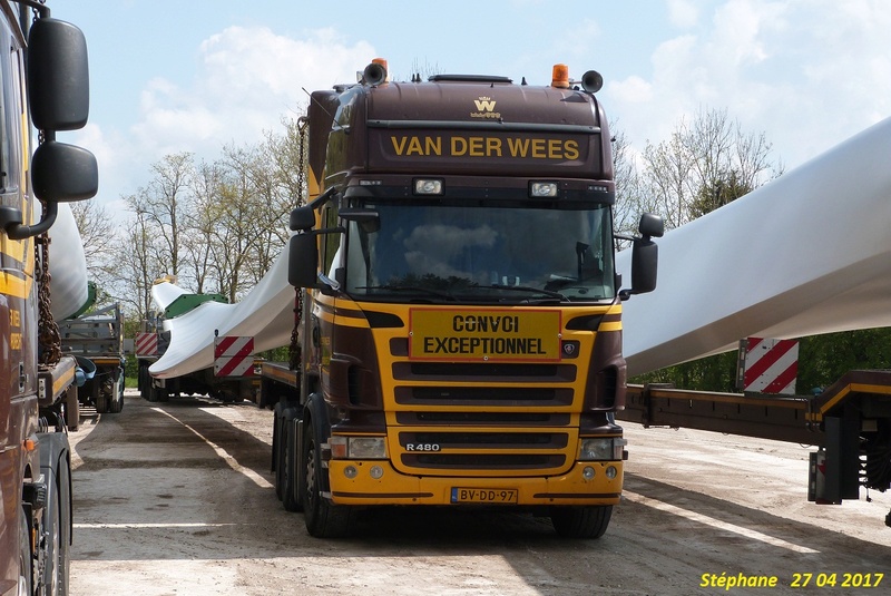 Van der Wees (Dordrecht) P1380174