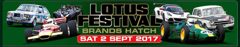 Lotus festival Banner10