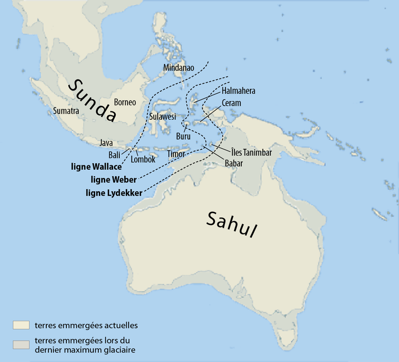 a quoi ressemblait un lit il y a 200.000 ans ? Carte_10