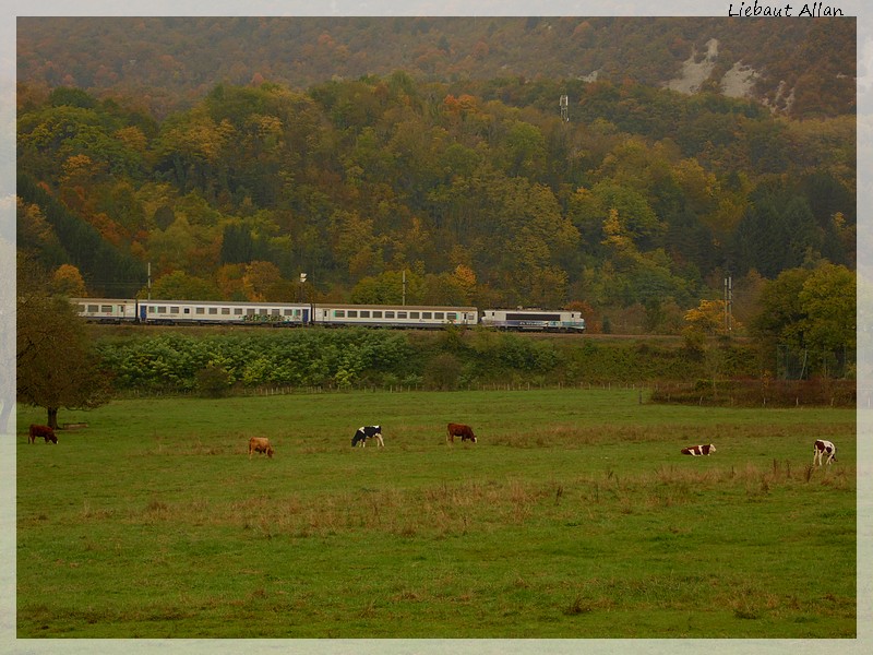 les trains de ma région en photos.. - Page 3 Sam_1611