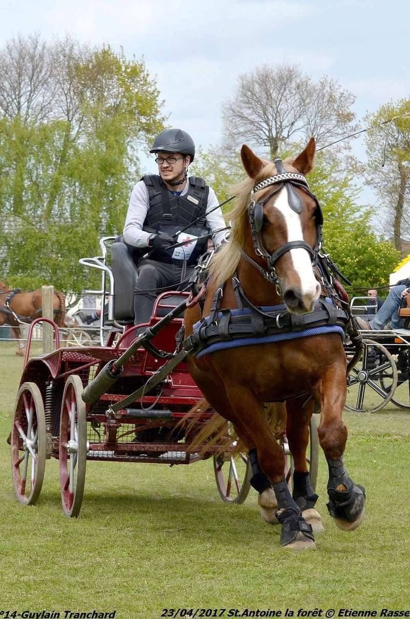 Guylain et URLENA Img_3710