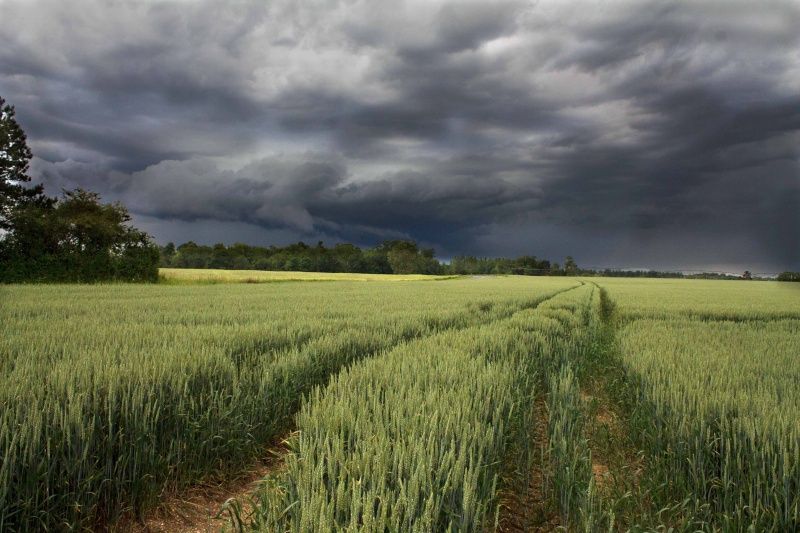 L'orage monte Ble10