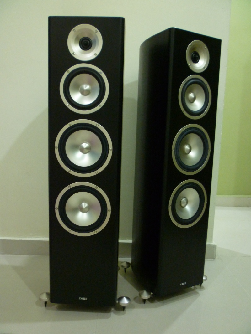 Acoustic Energy Radiance 3 Floorstanding Speaker (NOS) Last Pairs P1130610