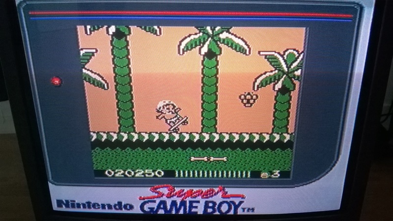 [TEST] Adventure Island Game Boy Wp_20159