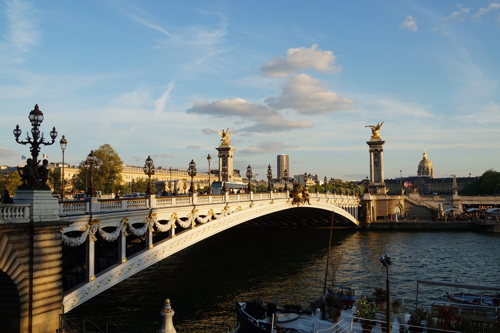 pont Alexandre III - Paris Dsc01912