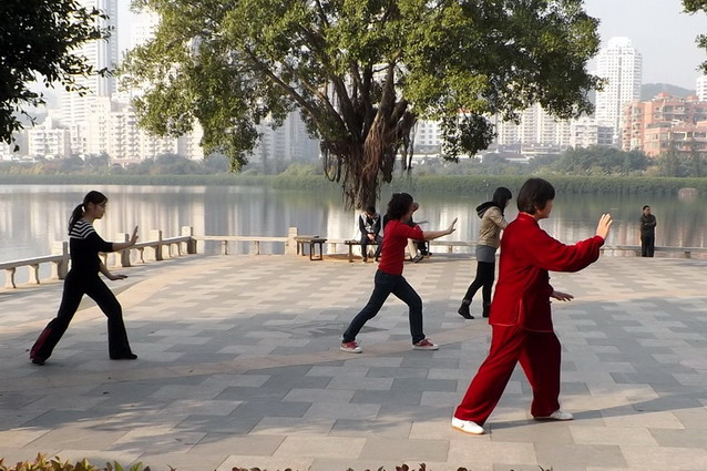 Tai chi practitioners photos  太极练习照片 001a10