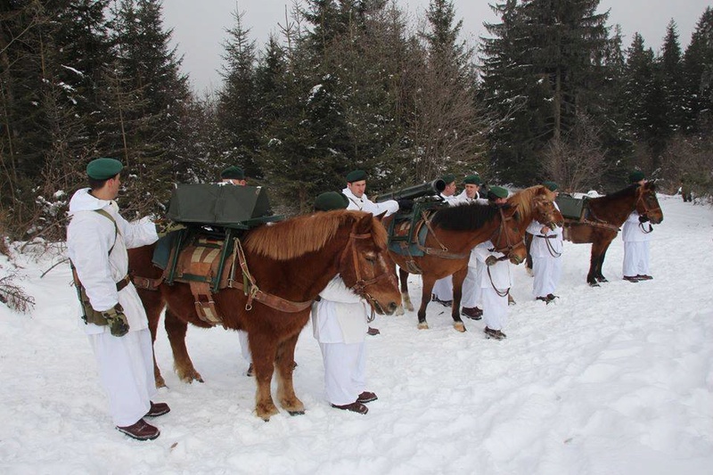 Armée Roumaine/Romanian Armed Forces/Forţele Armate Române - Page 9 2714