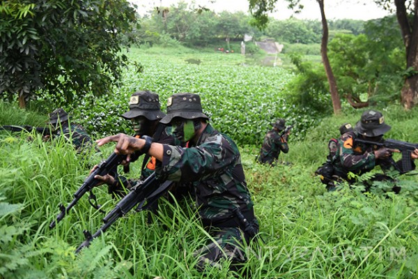 Armée Indonésienne / Indonesian National Armed Forces / Tentara Nasional Indonesia - Page 22 98a17