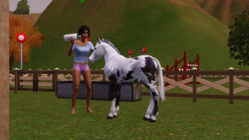 [Challenge] Teens and Horses "Sims 3" raconté par Vavaveau Screen32