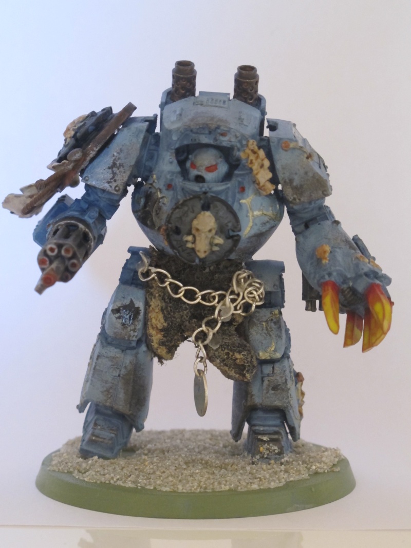 Mes figs : Space Wolves. - Page 10 Img_2315