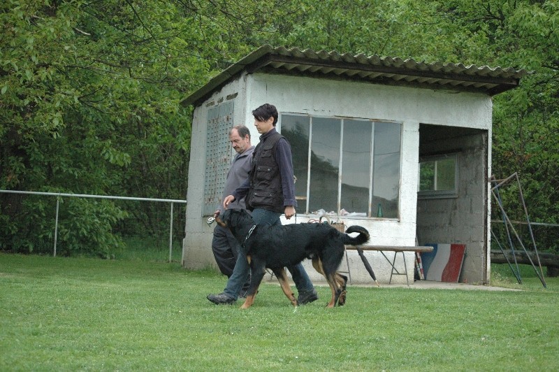 irko au boulot... Dsc_0111