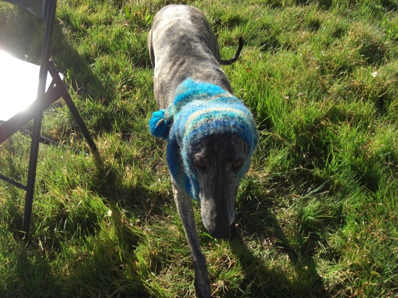 Achat Solidaire SOLIGALGOS Cagoule en laine - Page 2 Bonnet11