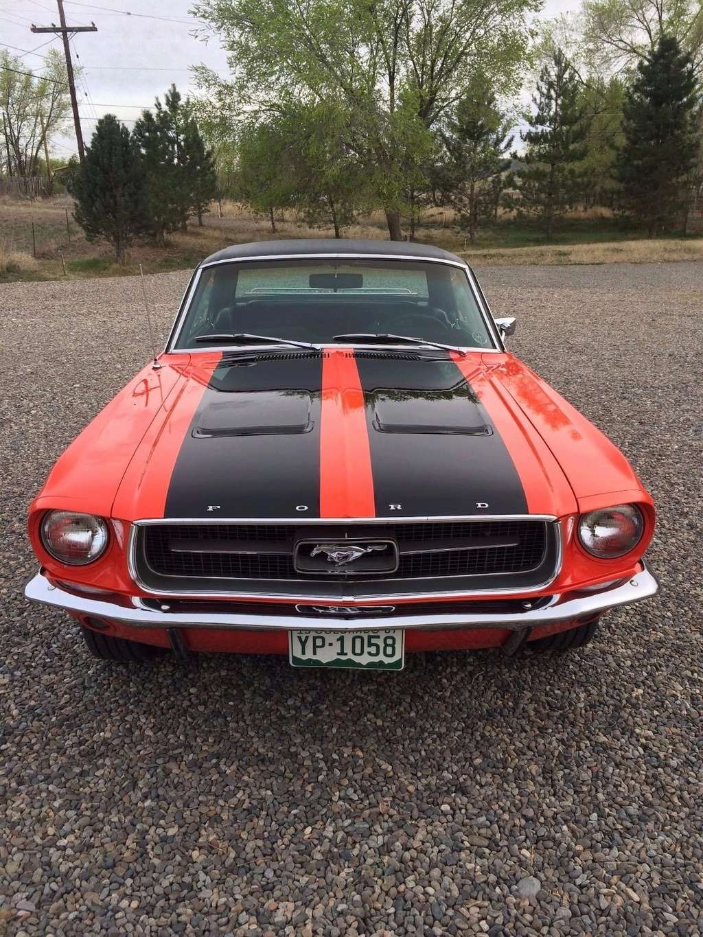 Ford et Mustang 1967 édition « Ski Country Special Ski_co18