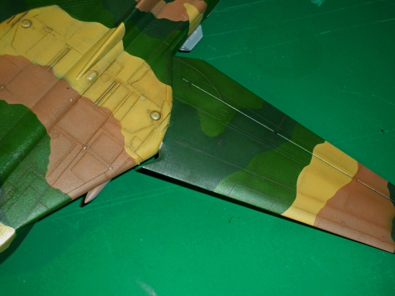 MiG-27 "Flogger-D"; Trumpeter 1/48 - Page 3 P1100222