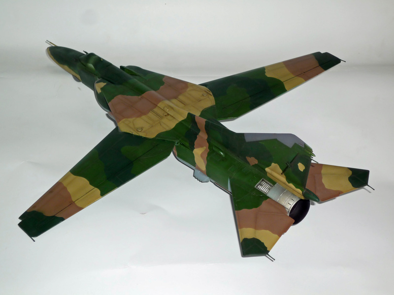 MiG-27 "Flogger-D"; Trumpeter 1/48 - Page 3 P1100226