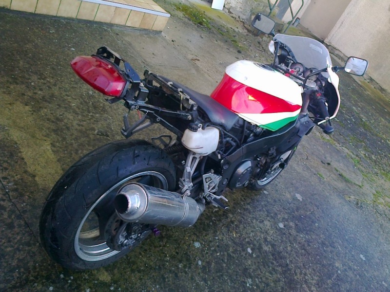 un cousin en kawa Ab194710