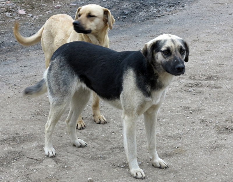 Parrainage de Louna Louna10