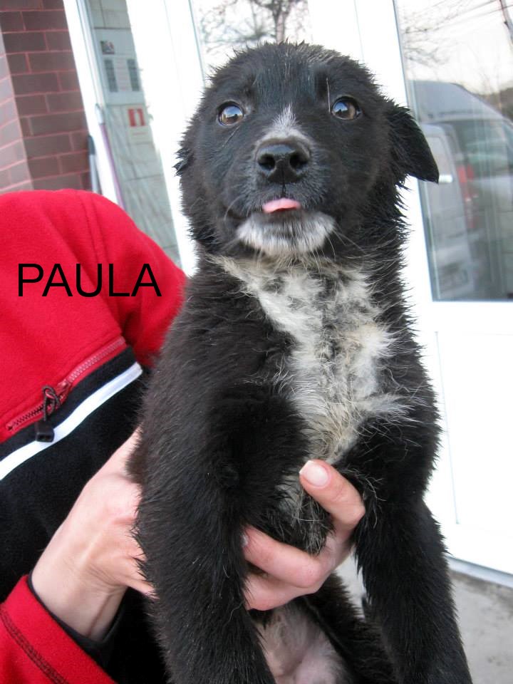 X Parrainage de Paula -CLOS- Paula10