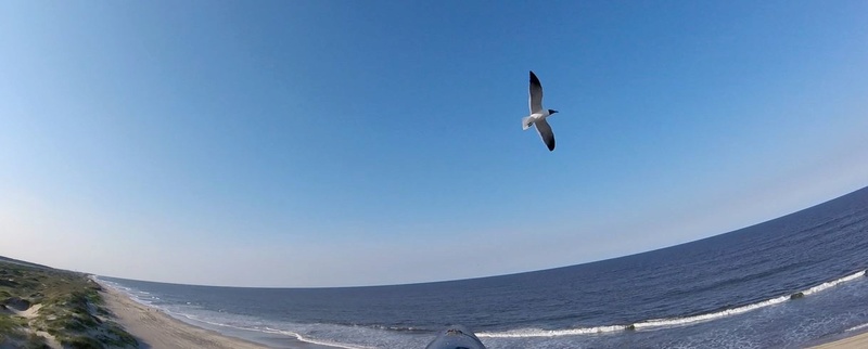 STILL on the Road...Slope Soaring the 2m B.O.T. at Oregon Inlet, Outter Banks, North Carolina 1_711