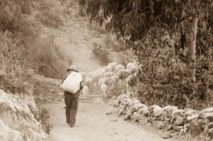 Parlas provençau ? Badakizu ? Corsu ? Photo10