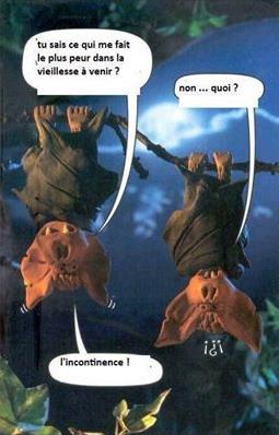Mort de rire - Page 4 Screen29