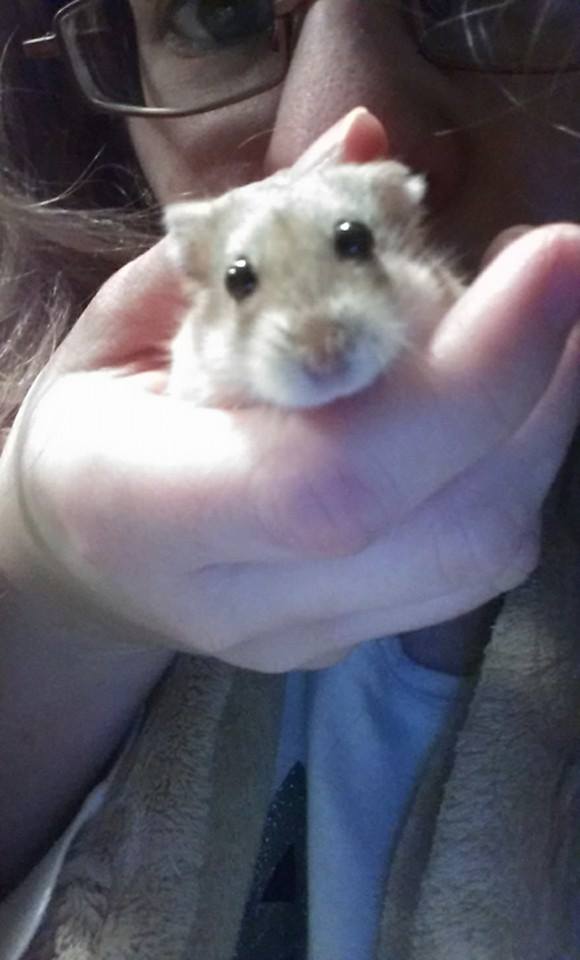 [Hamster] Dana Scully - Page 2 16228410