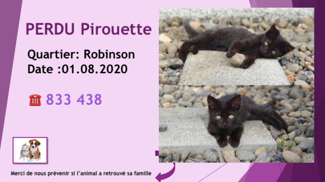 PERDUE PIROUETTE CHATON NOIR A ROBINSON LE 01.08.2020 Diap1852