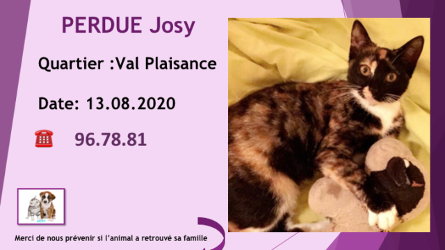 plaisance - PERDUE JOSY ECAILLE DE TORTUE A VAL PLAISANCE LE 13.08.2020 Diap1876