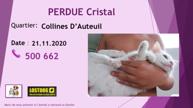 blanche - PERDUE CRISTAL PETITE BLANCHE AUX COLLINES D'AUTEUIL LE 21.11.2020 Diap2015