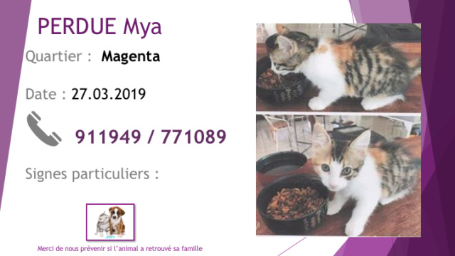 PERDUE MYA 3 COULEURS 4 MOIS A MAGENTA MINI MARCHE LE 27.03.2019 Diapo495