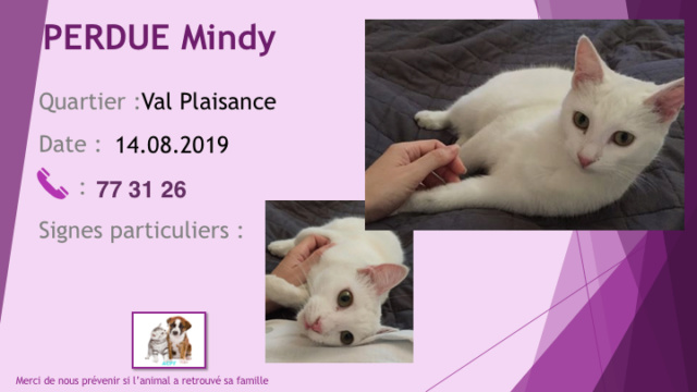 plaisance - PERDUE MINDY CHATTE BLANCHE A VAL PLAISANCE LE 14.08.2019 Diapo805