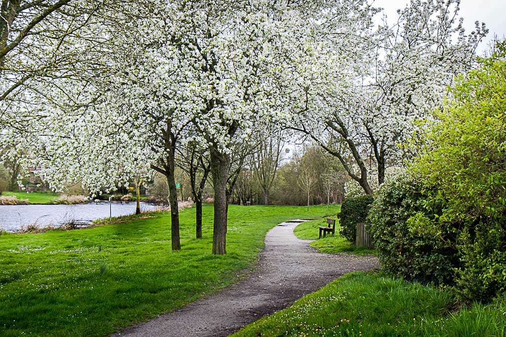 "Le printemps" mai 2017 310