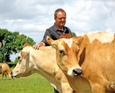 Les vaches, sources de tous les biens Bernar10