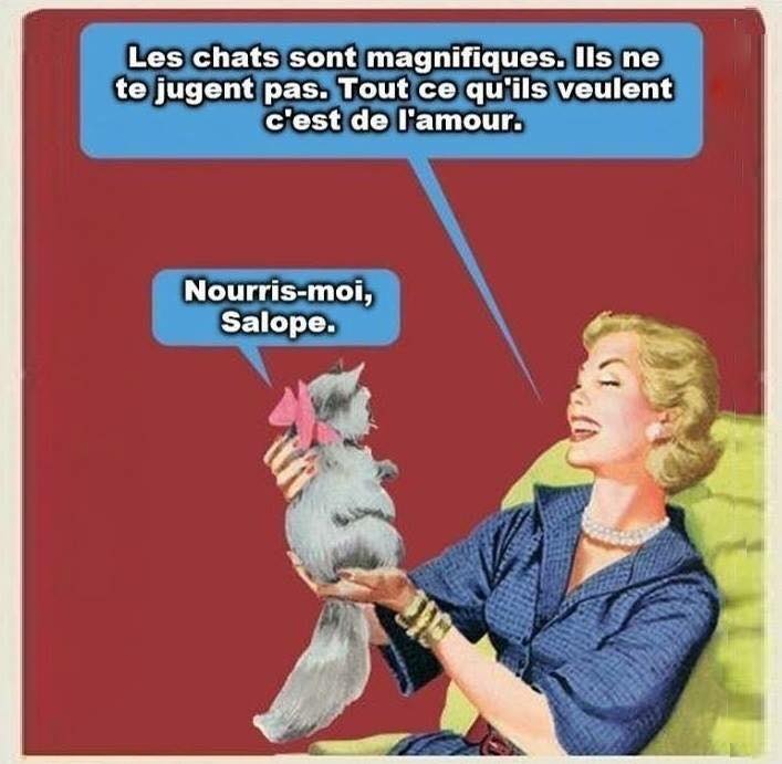 HUMOUR - blagues - Page 3 11224810