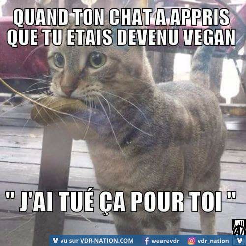 HUMOUR - blagues - Page 18 140b3711