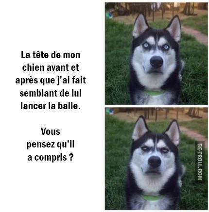 HUMOUR - blagues - Page 9 67d5ad10