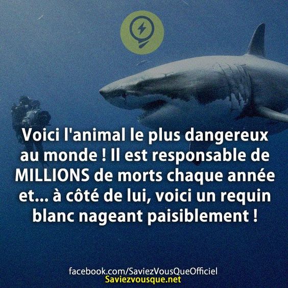 HUMOUR - blagues - Page 9 B997a410