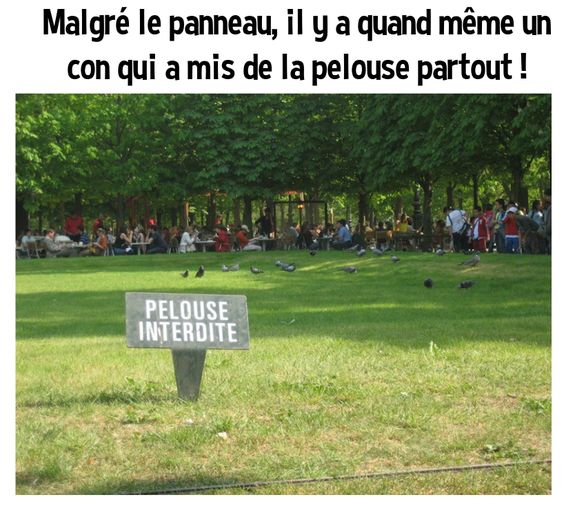HUMOUR - blagues - Page 15 F6875c10