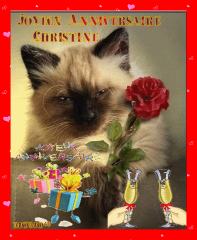 Bon Anniversaire Naya Bon Anniversaire Naya