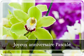 Bon Anniversaire Pascale Bon Anniversaire Pascale