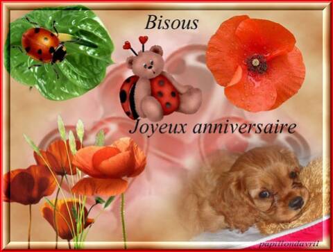 Bon Anniversaire Florence 91 Bon Anniversaire Florence 91