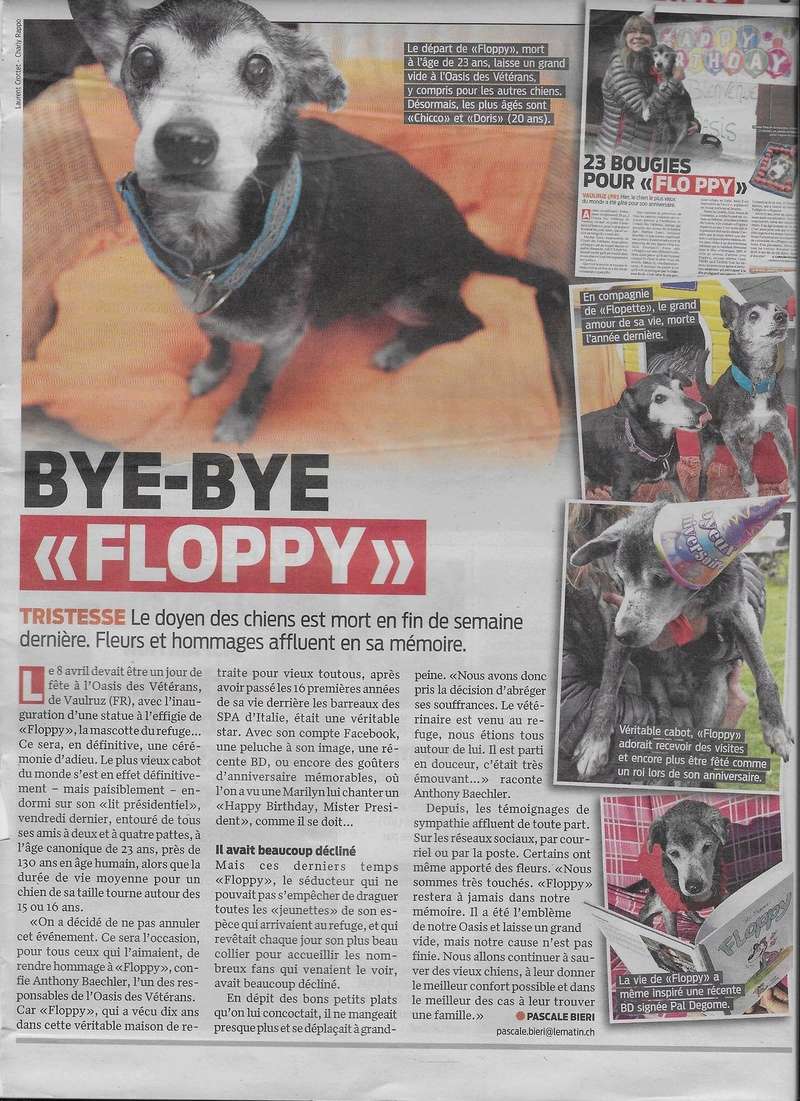 Floppy: le + vieux chien du monde pourrait être suisse! - Page 2 Image59