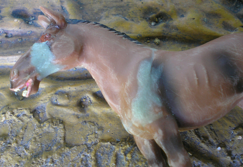 Bemalungen, Umbauten, Modellierungen - neue Tiere für meine Dioramen - Seite 6 258d1_10